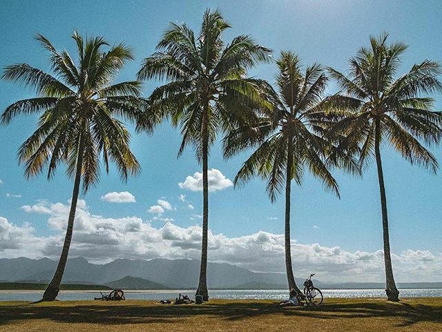 La_visualz's tweet photo. 🌴 Photo By Featured Artist: @nomaudio 🌴
Selected By: @maydas.touch
.
.
.
To Be Featured Make Sure You Tag
@hug_a_palmtree or Use #HUGAPALMTREE
.
.
#losangeles #photography #sunset #photooftheday #sunsetlovers #palmtrees #inspiration #landscape #natur… https://t.co/mANR5knxDV https://t.co/0k1s0gc59I