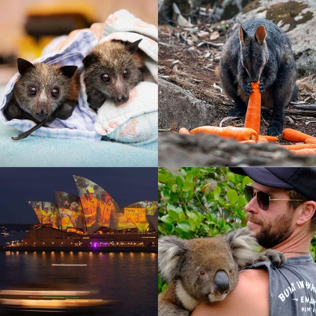 LiveLifeFwdShow's tweet photo. With all the tragedy in the world, sometimes it’s good to take some time to focus on the positive. From food falling from the sky to celebrity donations, we’re loving these 15+ feel-good stories from the Australian bushfires from @bright_side_me: https://t.co/ahGprDNXeb https://t.co/ssJSIh02Kb