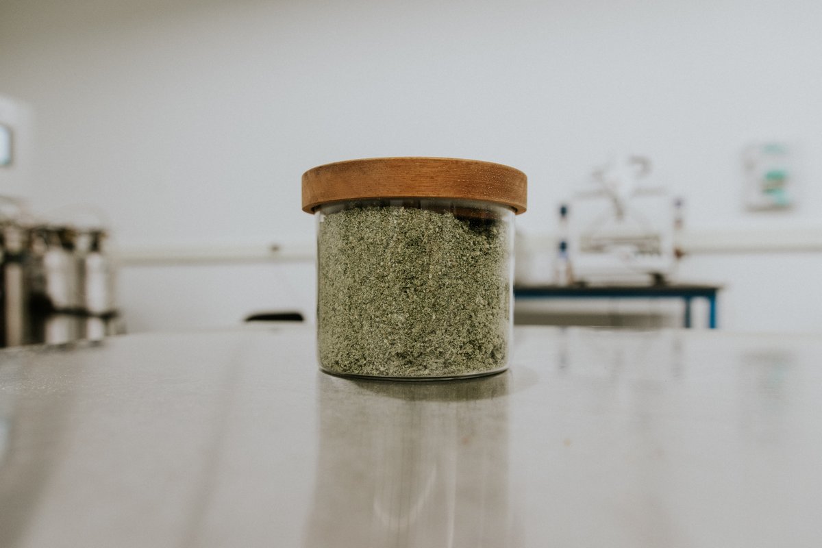 RiseMinnesota's tweet photo. How exactly do the medications go from flower to oil? The second part of the process is grinding our flower. Our dried #cannabis flower is ground to the consistency of coffee grounds to increase surface area prior to CO2 extraction. The next step is CO2 extraction. #leafline https://t.co/eGzhPkbSHz