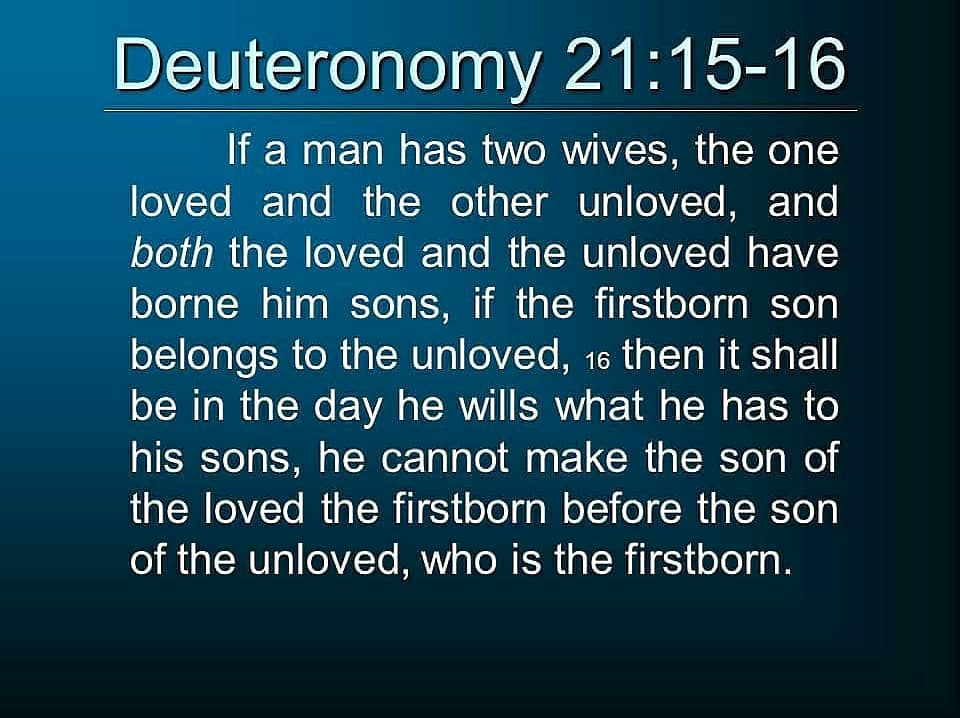 TrinityCircle's tweet photo. #HalleluYah! #YAHAWAH #YAHAWASHI #SABBATHFr6Sa6p! #LawsStatutesCommandments #AbrahamIsaacJacob #ArkOfTheCovenant #12TribesOfIsraelNegros #HebrewIsraelite #TribeOfJudah #Melanin #Melaninated #MelaninWomen #SkinnyBLkWomen #SisterWife #EbonyLady #MelaninRich #BLKWomen #MelaninBeauty https://t.co/MfgPOzCueV
