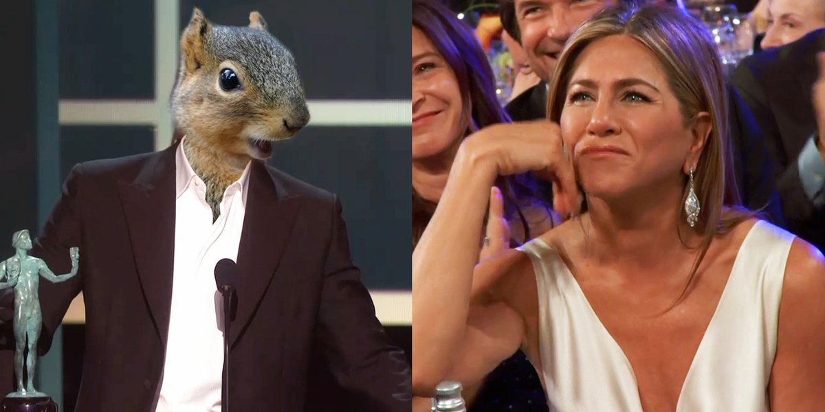 Me every time I walk past the library 😻 #SquirrelAppreciationDay