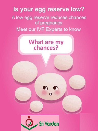 jmdithub's tweet image. Causes of Infertility
✅Not Ovulating
✅ Male Infertility
✅Blocked Fallopian tubes
✅Unexplained infertility

Shree Vardan Fertility and Ortho Centre
Best IVF hospital in Bhojpur &amp;amp; Rohtas
Best IVF hospital in Ara
shreevardanivf.com