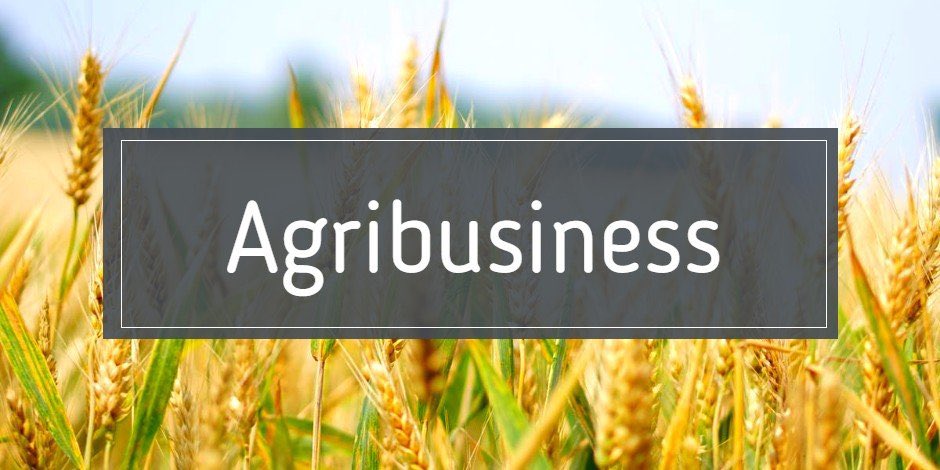 PCBApps's tweet photo. Oracle's JDE Enterprise One Agribusiness solution has done wonders for agribusinesses. 

This solution when implemented gives agribusinesses:

1. The ability to manage land, crop, &amp; harvest attributes.
2. Track operational costs for each harvest.
3. &amp; much more!!

#agribusiness https://t.co/G9o26ZxTM0