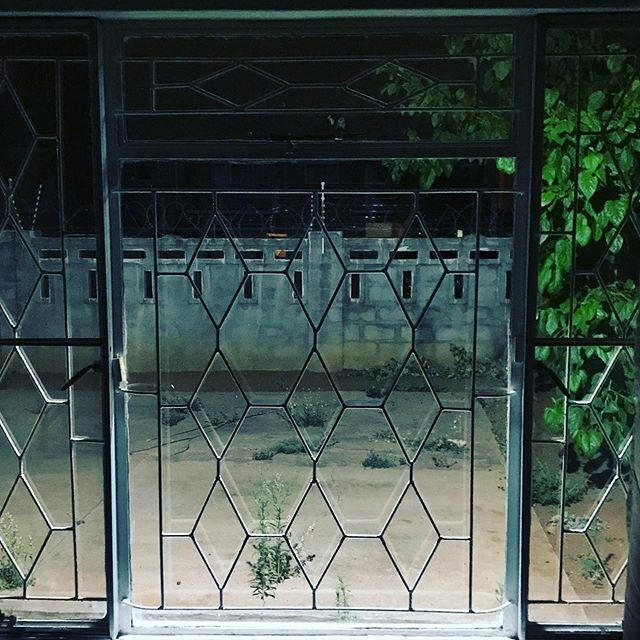 CharlotteLandy's tweet photo. Summer Window #Botswana #Windows #nightphotography #kreview https://t.co/cm6IgNekbO