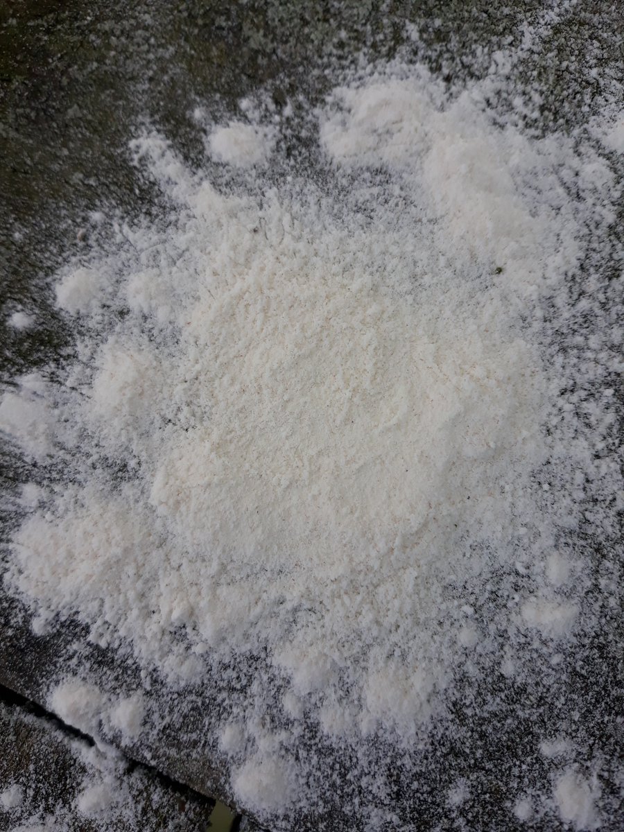 adurandworthing's tweet image. Our Foreshore Inspectors have located 63 small piles of white powder near #Worthing Pier decking &amp;amp; along the promenade
The beach office team have removed these piles &amp;amp; have alerted  dog wardens &amp;amp; park rangers.
If you see any please alert the beach office team on Worthing seafront