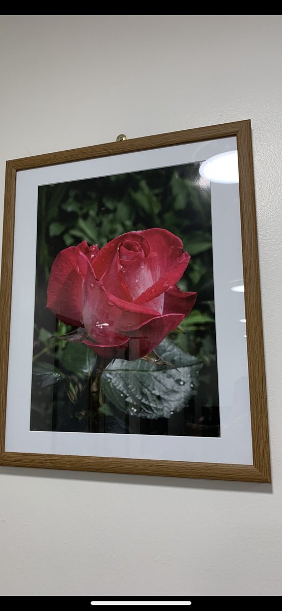 FranPlatts's tweet photo. Beautiful flower art on Lindhurst Ward, the ward is looking positively radiant following its makeover ♥️ @EmmaWilson850 @keeley_dring #itsnearlyspring 💐 https://t.co/XppFQ5CPkR