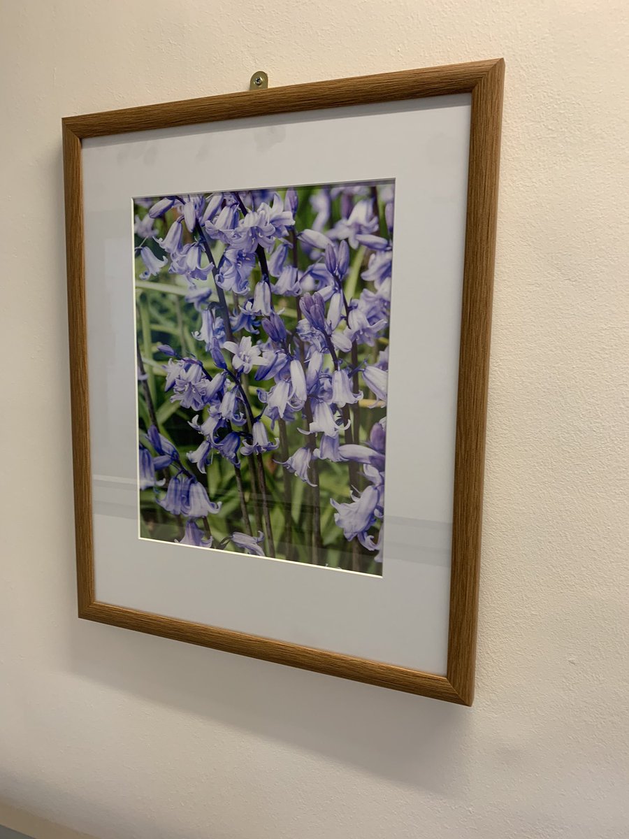 FranPlatts's tweet photo. Beautiful flower art on Lindhurst Ward, the ward is looking positively radiant following its makeover ♥️ @EmmaWilson850 @keeley_dring #itsnearlyspring 💐 https://t.co/XppFQ5CPkR