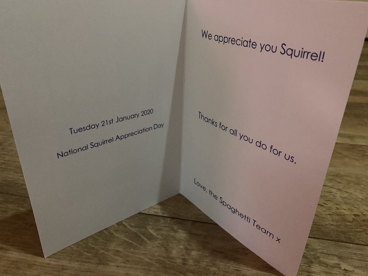 SquirrelPower's tweet image. Look what we got today from @Spaghetti_Jo @SocialMediaTodd @TweetLaura 😆🐿👍 #SquirrelAppreciationDay