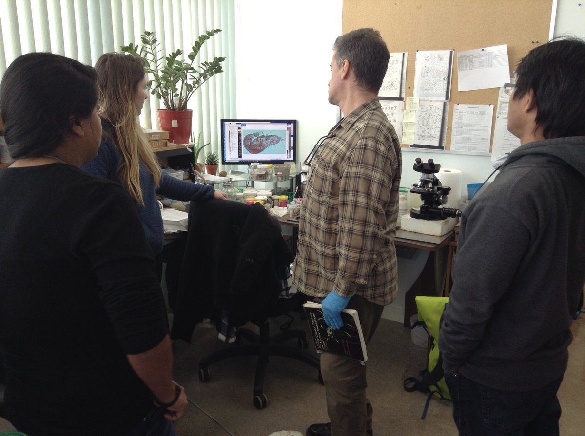 biologicabc's tweet photo. When you have a mystery critter, all the taxonomists have to put their heads together! #taxonomytuesday  #aquaticinvertebrates #biologicabc https://t.co/mnP4br5FZ4
