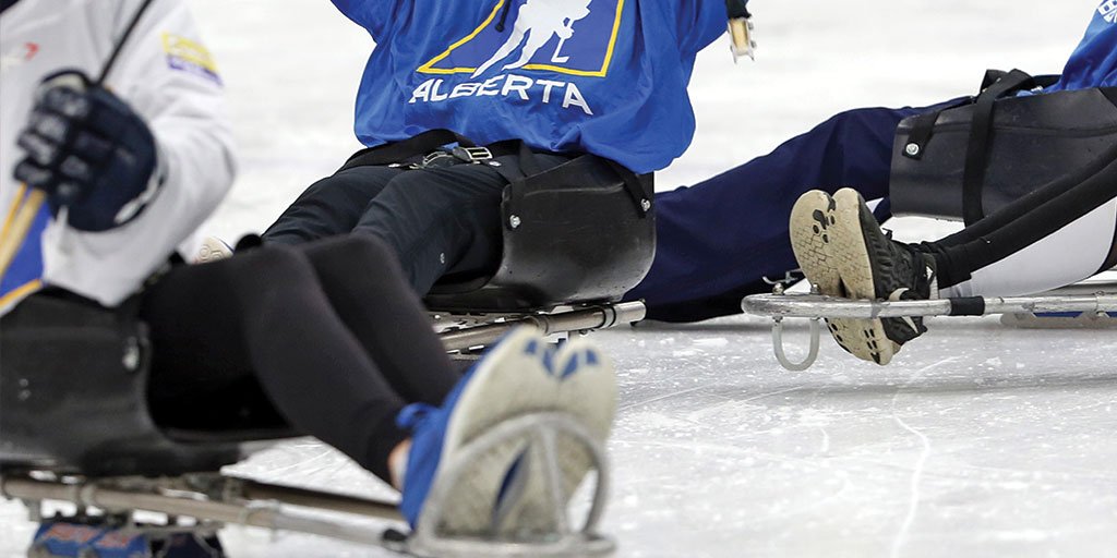 HockeyAlberta's tweet photo. NEWS: @AlbertaSledge adds Trainers Travers Roy and Montanna Engelhardt to 2019-20 Program Roster.
ROSTER: https://t.co/7uWBgzZSgN
#ABSledge | #AlbertaBuilt https://t.co/HHaIuF2IsQ