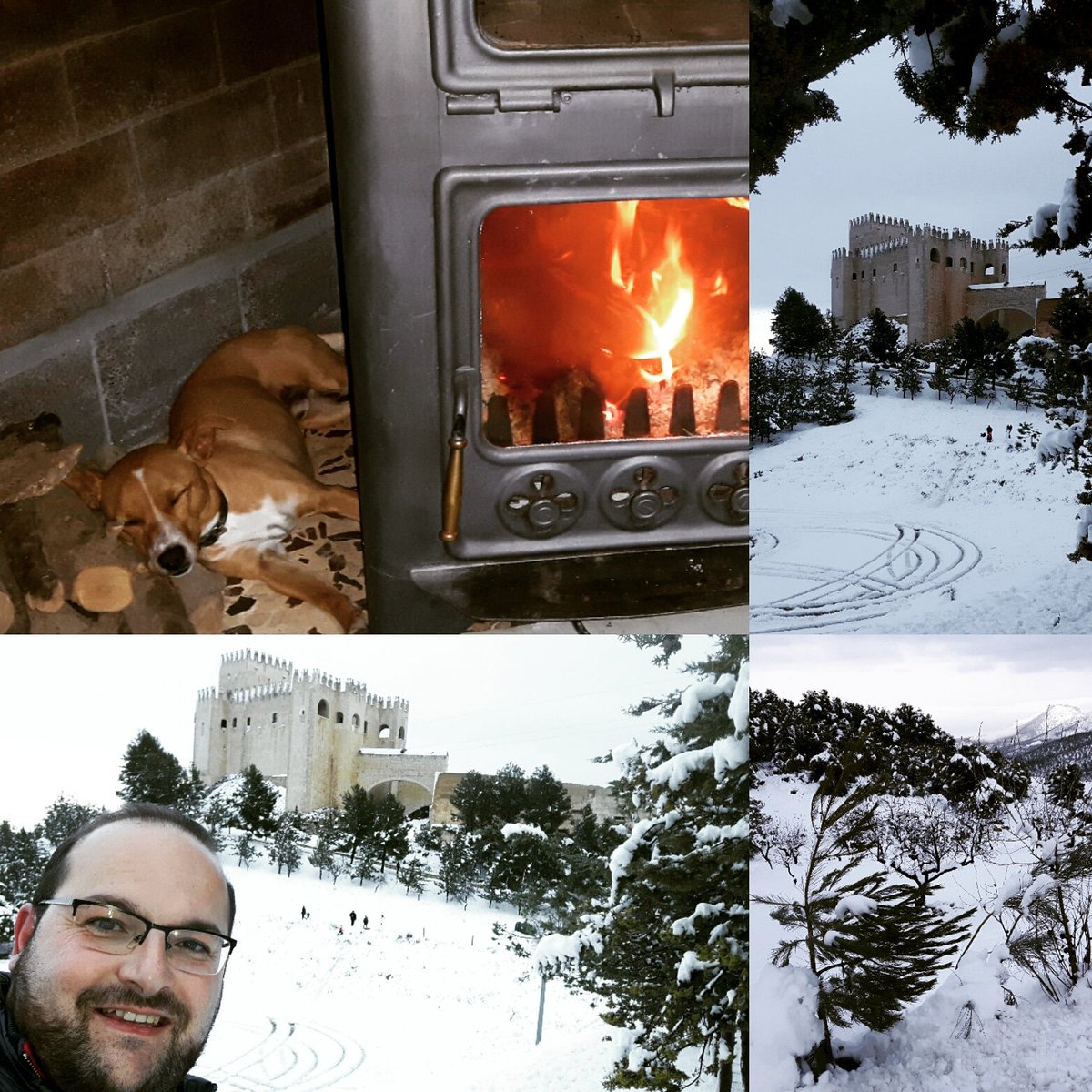 salvaderecho's tweet photo. #TrueInstinctES #NutriciónNaturalTI  Yoni no quiere ni parque ni paseo....solo pide que eche otro palito al fuego. #nieve #velezblanco https://t.co/doiMmb4qmJ