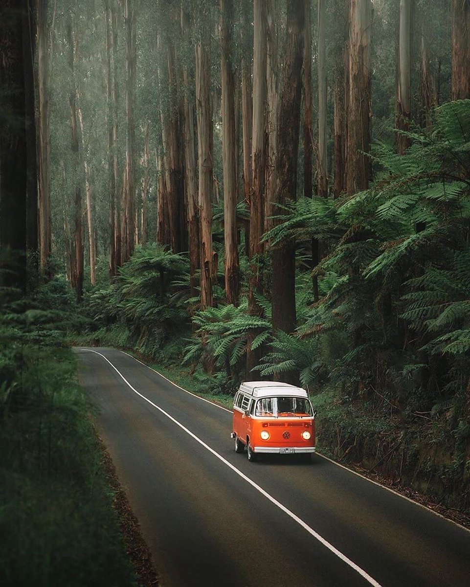 Etiqueta a alguien con quien quieras en un viaje por carretera en esta clásica furgoneta 😍👇
📸 <a href="/karl_shakur/">Karl Shakur</a>