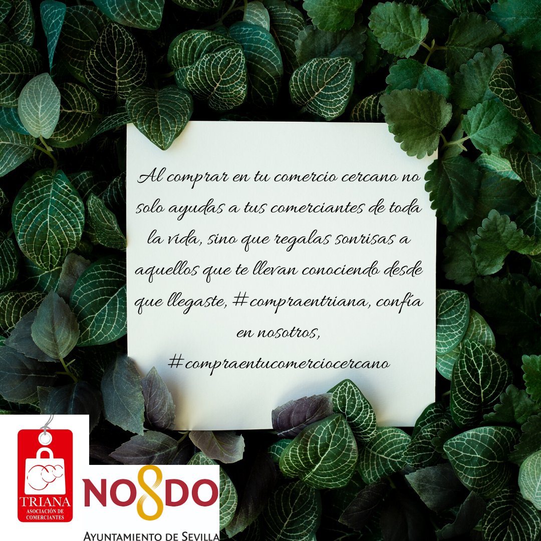 comercio_triana's tweet photo. Al comprar en tu comercio cercano no solo ayudas a tus comerciantes de toda la vida, sino que regalas sonrisas a aquellos que te llevan conociendo desde que llegaste, #compraentriana, confía en nosotros, #compraentucomerciocercano @Ayto_Sevilla https://t.co/fwqaXkUiUA