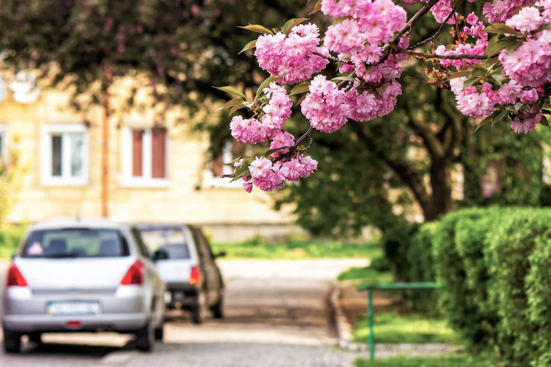 TestSoco's tweet image. Soco Smog Test is a Smog Check Company in ,CostaMesa. We are your number one choice in the area for Smog Check, Eco-Friendly Smog Check, and Star Certified Smog services! #SmogCheck #SmogTest #DMVSmogCheck #SmogInspection bit.ly/2Rmy767