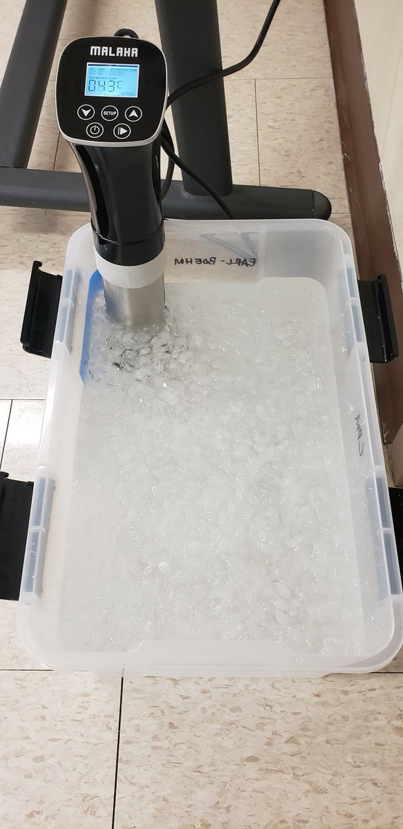 kjsigmund's tweet photo. Just a little #PhD pilot testing this AM to get this short week started on the right track. (data from my own leg, dont worry). π€π₯³π§ #PainMovement https://t.co/PZ2uM1PJK5