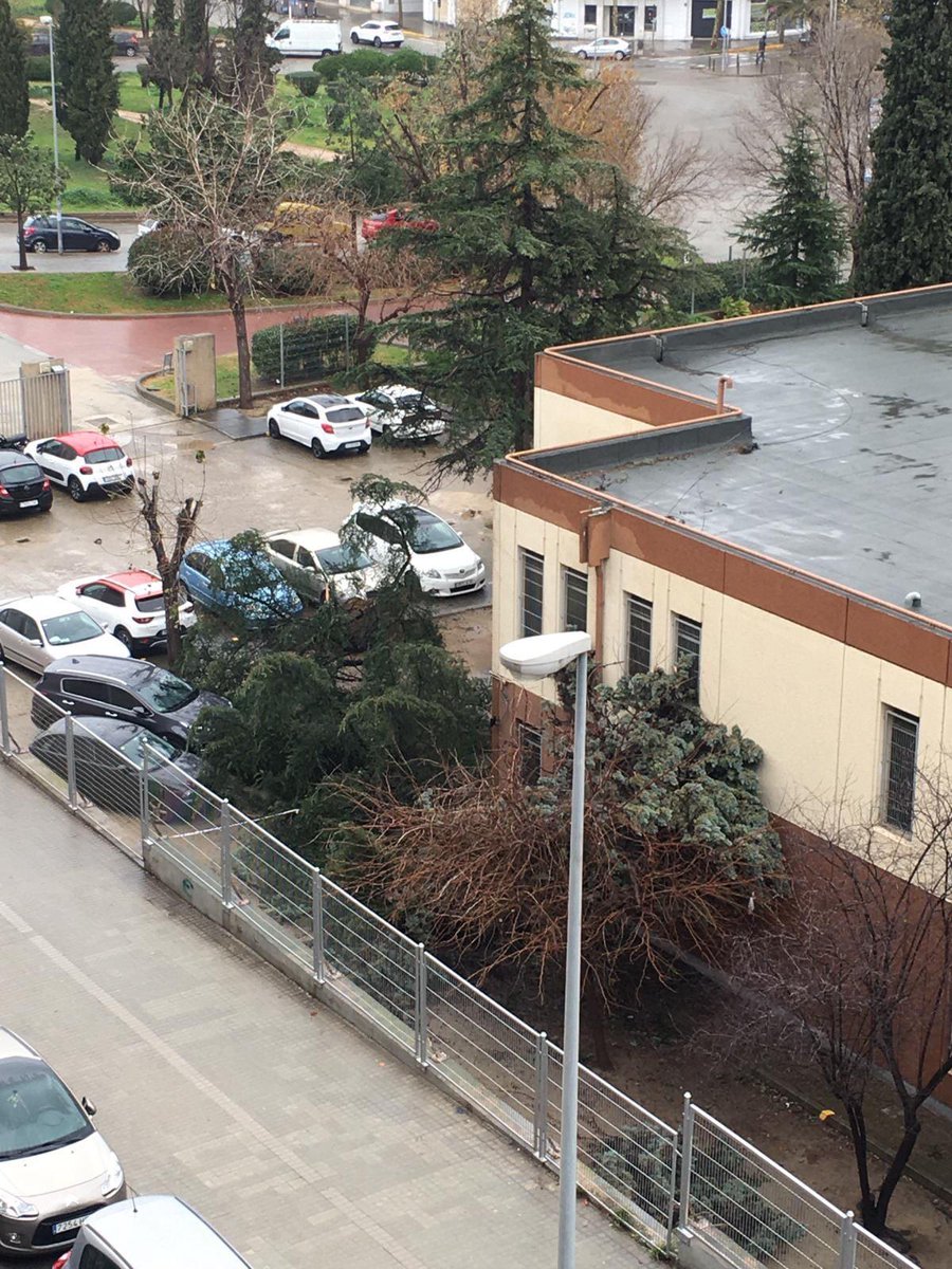 jennyrebollo's tweet photo. @totesmoutv3 @tv3cat A Badalona demà hi ha cole. Al nostre Joan Coret avui s'han caigut 2 abres amb els nens a dintre. https://t.co/eN4zCQZLq4