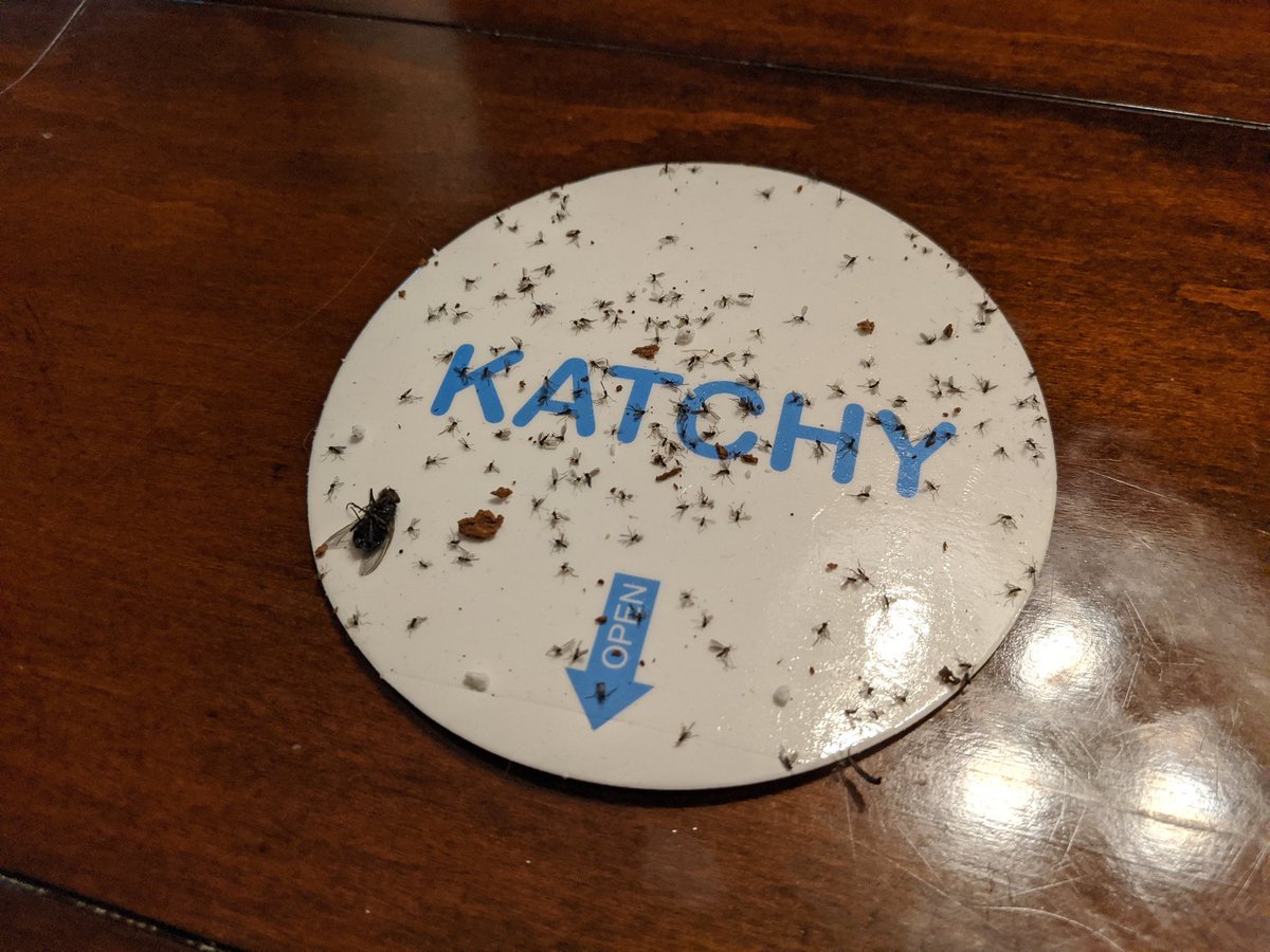 mbernier's tweet photo. @KatchyBug look what you did... #gross #thankyou https://t.co/nMiNgS9z9E