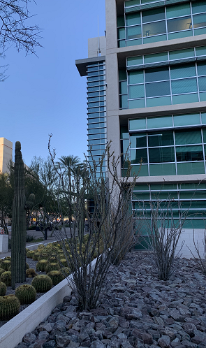 NextJen_HR's tweet photo. Dig supporting storage in complex, multi-terabyte scale, heterogeneous environments? (#saythat3timesfast) Then this may be the perfect role for you! @TGen #SeniorStorageEngineer #jobsearch #techjobs #phoeinx @CityofPhoenixAZ @aztechcouncil https://t.co/56VvsbDoE2 https://t.co/YVSIPw7CAM
