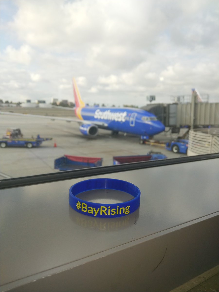 Adam lewis tweet media