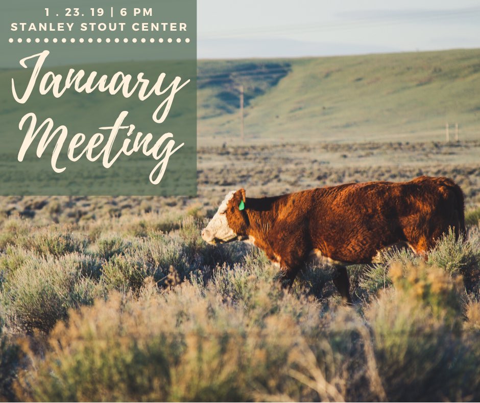 KSU_CCC's tweet photo. Spring semester has officially started and we hope you all had a great first day back! Our January meeting will be this Thursday at 6pm at the Stanley Stout Center. 

If you are attending NCBA, please be sure to attend as there will be a meeting after to discuss the trip. https://t.co/vCfibc8nMO