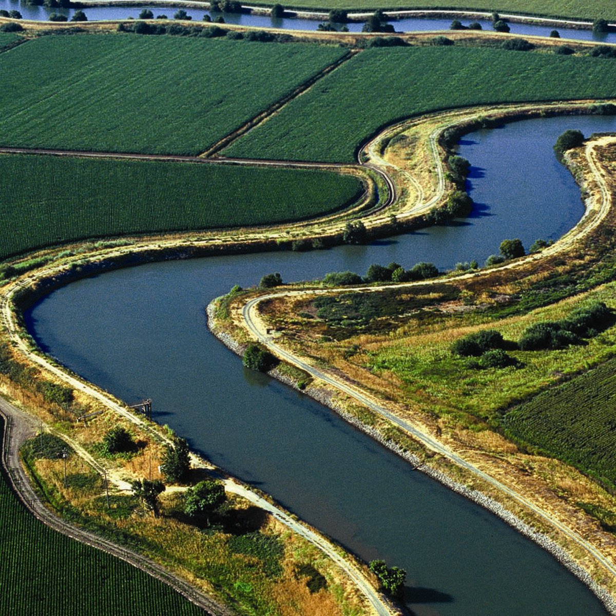 Gov. Newsom restarted planning for a #cawater diversion tunnel in the #sacdelta, so to provide some history we're making Sacramento-San Joaquin Delta Canal/Tunnel Proposals our Water Word of the Week from Aquapedia, our free online water encyclopedia. watereducation.org/aquapedia/sacr…