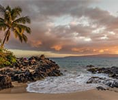 mannasofttech's tweet photo. I just solved the puzzle with 154 pieces without rotation in Puzzle HD: Travel app https://t.co/xf2ySZR1nJ #PuzzlePlus https://t.co/innBo9AaEK