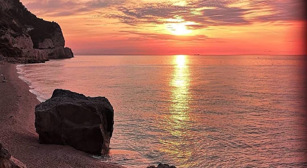 miaudit's tweet photo. ma com'è bello #ilVino…
rosso rosso rosso
bianco è il mattino,
bianco bianco bianco
rosso è il mattino:
vita vita vita
sera dopo sera
sfuggi tra le dita
spera, mira, spera
#PieroCiampi:
Nada #Malanima
e #LaCrus
a #TeatroArcimboldi
in #Milano
https://t.co/nK8hp68hra
#vocifuori https://t.co/ADlrEy0DeM