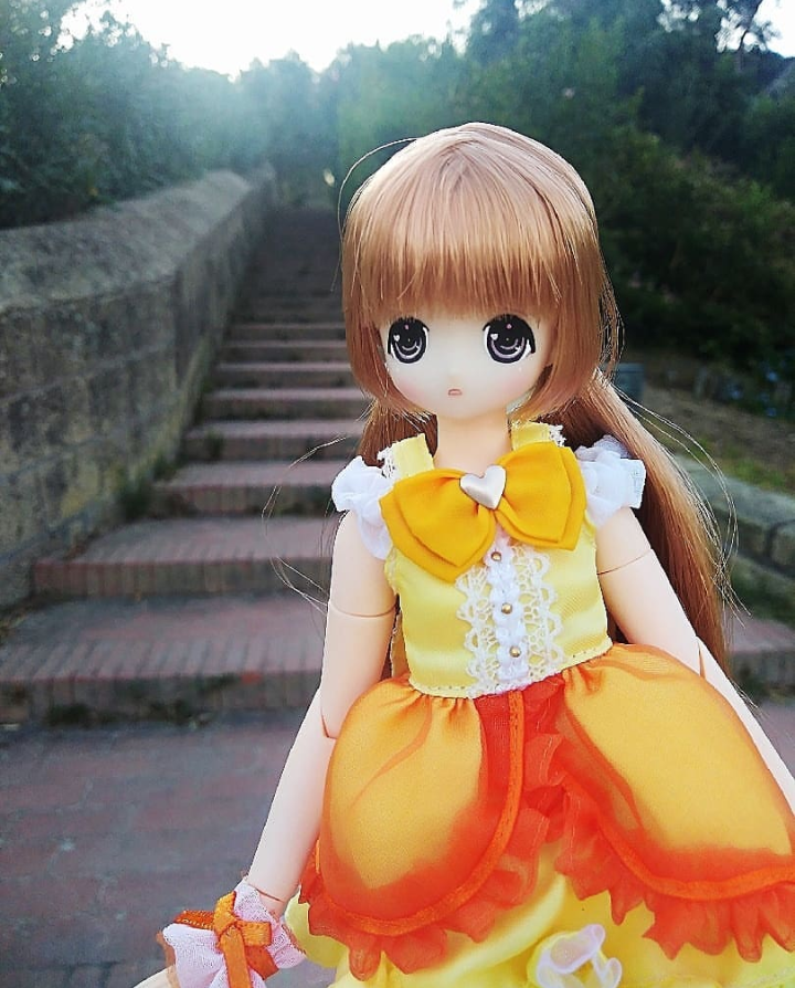 fairydolls1's tweet photo. 🍂🍁
#アゾカツ #azonejp #うちのこかわいい #アゾン #azonet #azone #azoneinternational #azonedoll #azonepureneemo #pureneemo #dollstagram #instadoll #dollphoto #dollsofinstagram #doll #dollphotography https://t.co/lkPJyJU2sJ