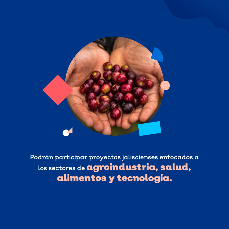 brainhubmx's tweet photo. RT InnovaJal: ¿Eres emprendedor y tienes un proyecto de innovación, ciencia y/o tecnología enfocado a resolver algún problema que enfrenta Jalisco? Checa esta convocatoria y participa para ser una de las 30 startups que serán seleccionadas: … https://t.co/yIJJfEsiQV