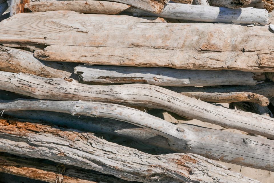 frankarteagare1's tweet image. Cut down driftwood to create a beautiful #DIY #homedecor piece.  cpix.me/a/90349071