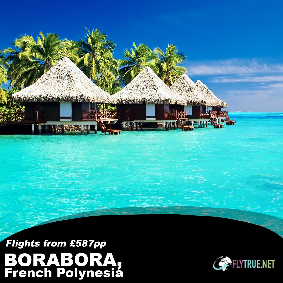 FlyTrueInc's tweet photo. Bora Bora, French Polynesia 🇵🇫 https://t.co/rvZlIz6JIp
