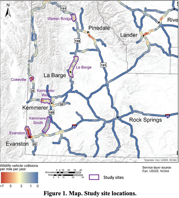 OurPublicLands's tweet photo. #Wildlife collisions are dangerous and costly. In #Wyoming taxpayers pay $50 million annually. Lowering speed limits doesn't prevent collisions between animals & automobiles, but overpasses and underpasses are proven to work. More: https://t.co/FwSSnNas2D #KeepItConnected https://t.co/x9f3vSglBB