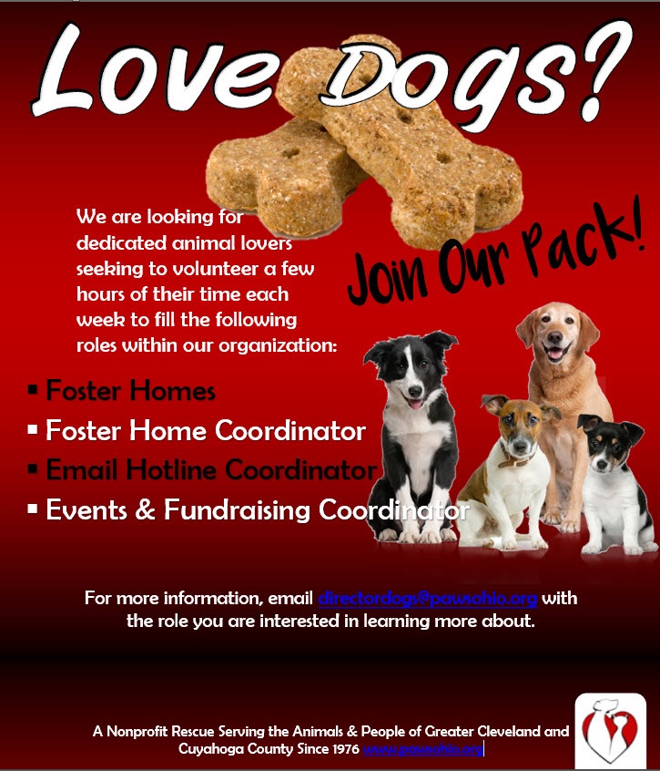 PAWS Ohio tweet media