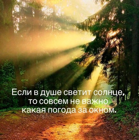 Мира Демина (@deminavolga5) on Twitter photo 