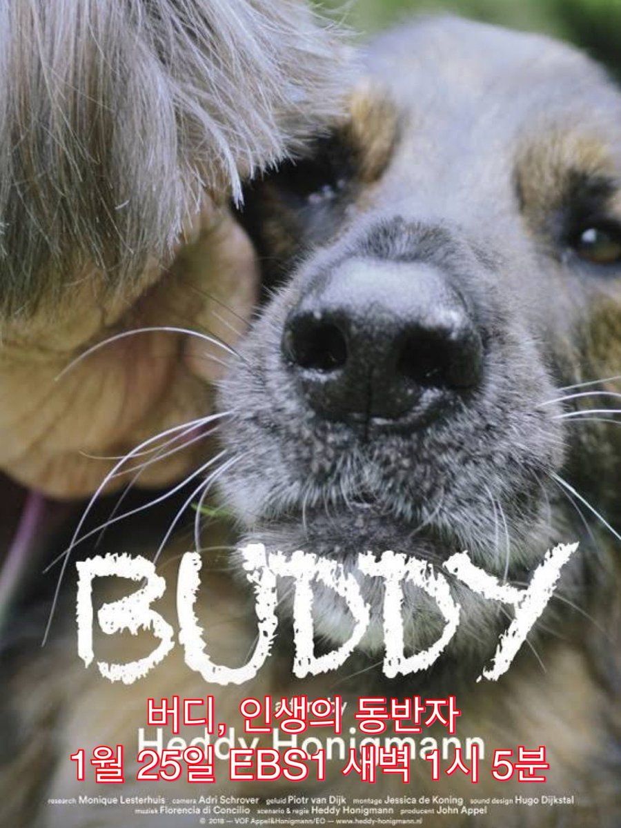 EBS 다큐&영화 2020년 (1/25-26) @ebsmovie #버디인생의동반자 #진주만 #써니 #몽골말조련사가사는법 #ebs다큐앤영화 @주말의명화 #해외명작 #한국영화추천...