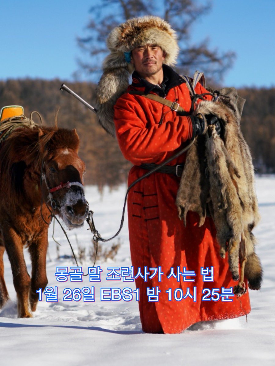 EBS 다큐&영화 2020년 (1/25-26) @ebsmovie #버디인생의동반자 #진주만 #써니 #몽골말조련사가사는법 #ebs다큐앤영화 @주말의명화 #해외명작 #한국영화추천...