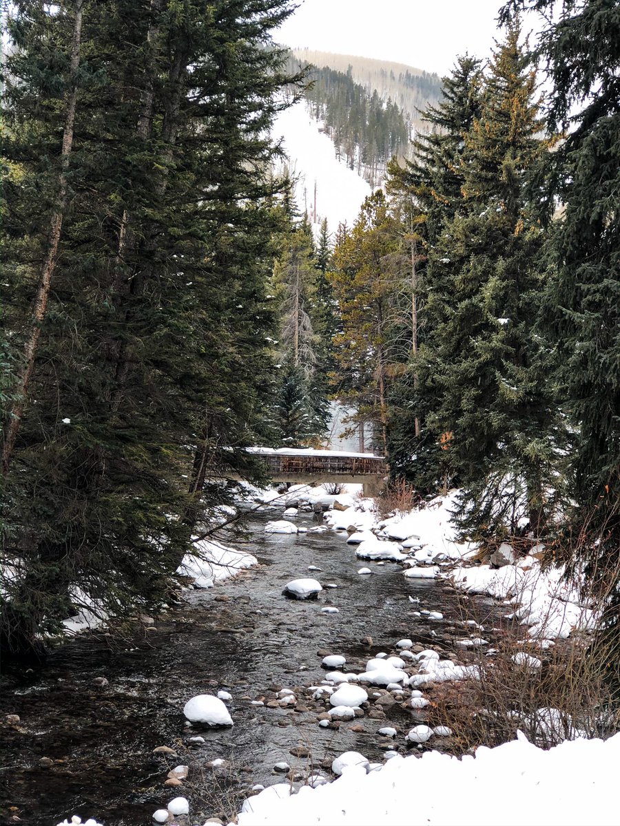 21Bold's tweet photo. Vail https://t.co/q9FEZ5DBij