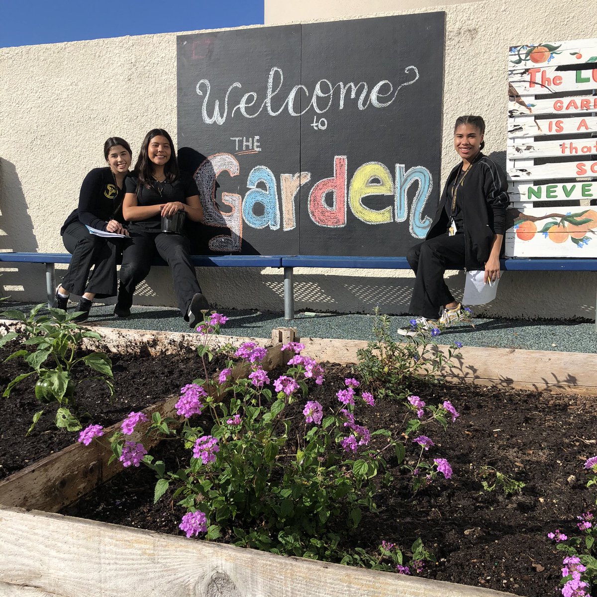 MiamiSunsetDIG's tweet photo. Garden updates are installed and growing well 🌱💚🙌 #handsonlearning #steam @STEMDesignation @Dream_in_Green https://t.co/L07d7SQQtw