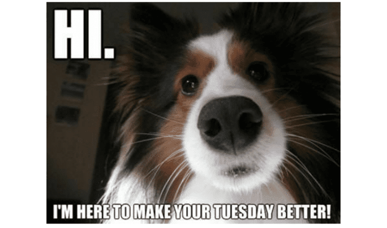 Arrived just in time.  #happytuesday