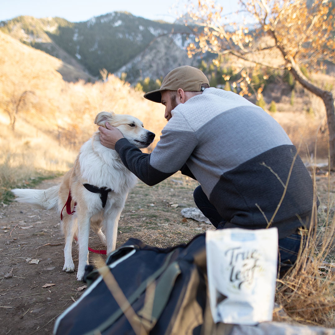 trueleafpet's tweet image. Love those ear scratches 😍 🐶 
#returnthelove