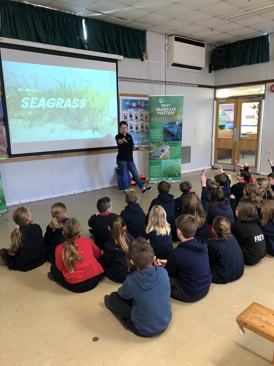 Hendrefoilan's tweet photo. Fantastic workshop about seagrass planting with @projectseagrass #hdfpy4 https://t.co/l0LHQkUfKm