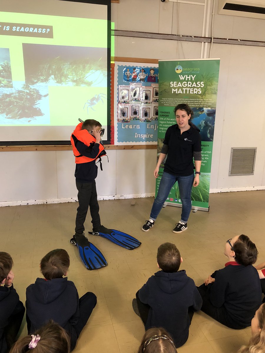 Hendrefoilan's tweet photo. Fantastic workshop about seagrass planting with @projectseagrass #hdfpy4 https://t.co/l0LHQkUfKm