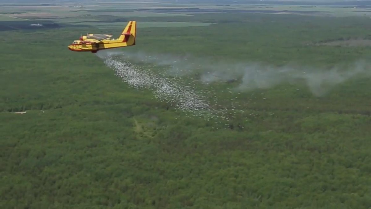 FlightGlobal's tweet photo. Elbit demonstrates 24h firefighting using liquid pellets https://t.co/arVXZe9ML5 https://t.co/Zudvpqp7bt