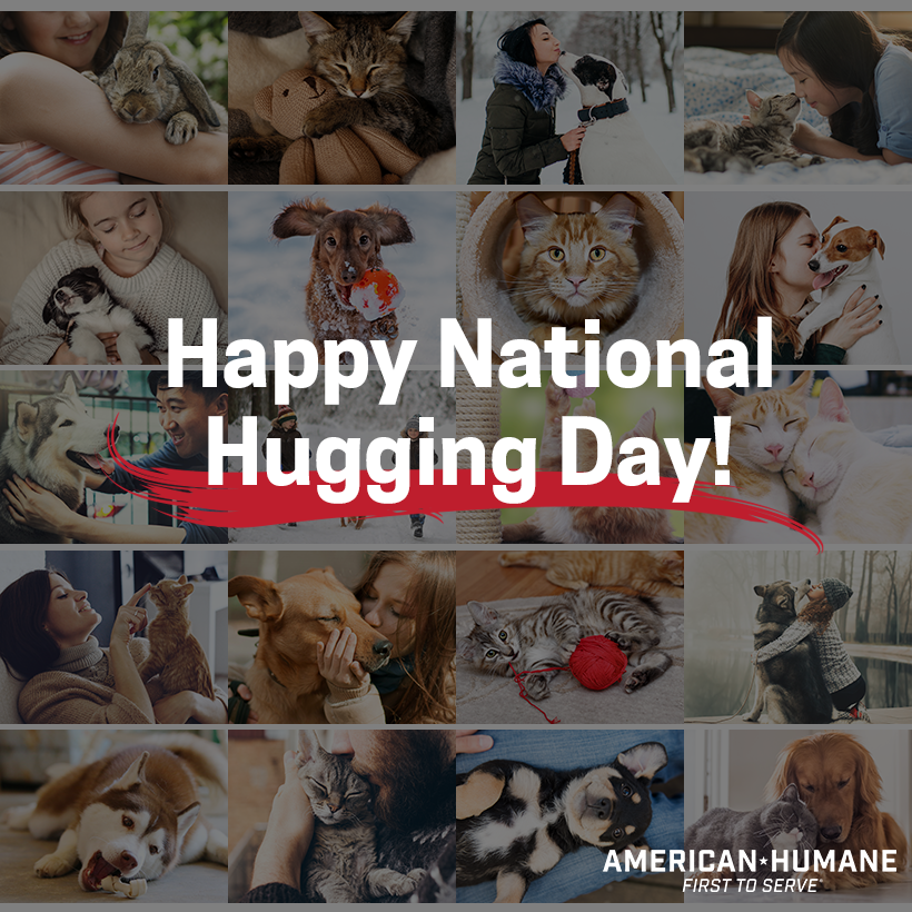 AmericanHumane's tweet photo. Today is #NationalHuggingDay! While many pets don't like to be hugged, take this day to show your furry friends a little extra love. An extra walk or some extra playtime can be like a hug for your furry friends. https://t.co/9GJpzb0HXm
