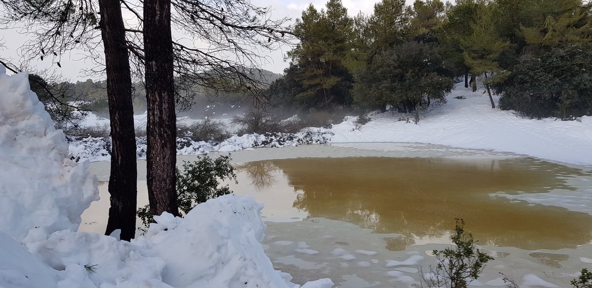 jmbeneyto's tweet photo. Paisatge d'alta muntanya el que deixa el #temporalhivernal #TemporalApunt en la serra de Mariola #Bocairent @apuntoratge https://t.co/zIPI9Rx9za