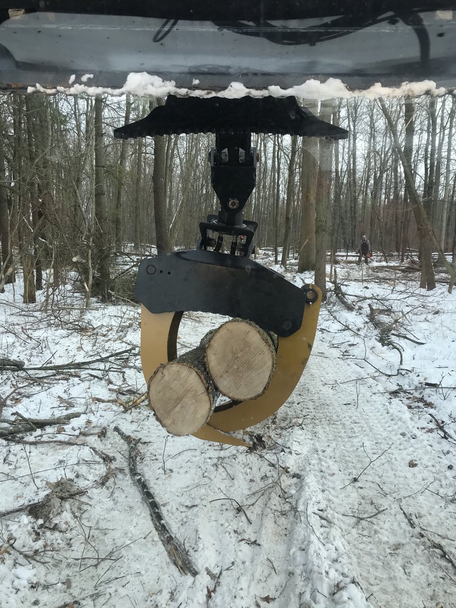 lex raben tweet media