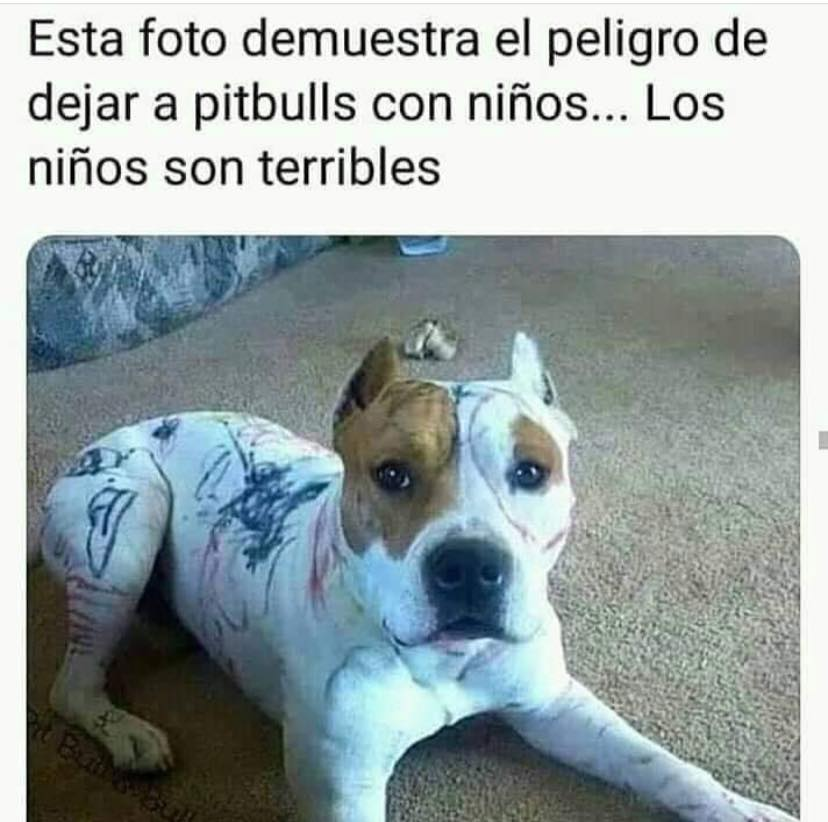 juanchocarran20's tweet photo. Un peligro total! https://t.co/hA7VMba3i2