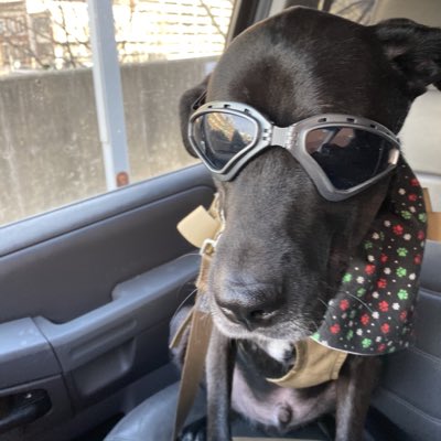#NewProfilePic