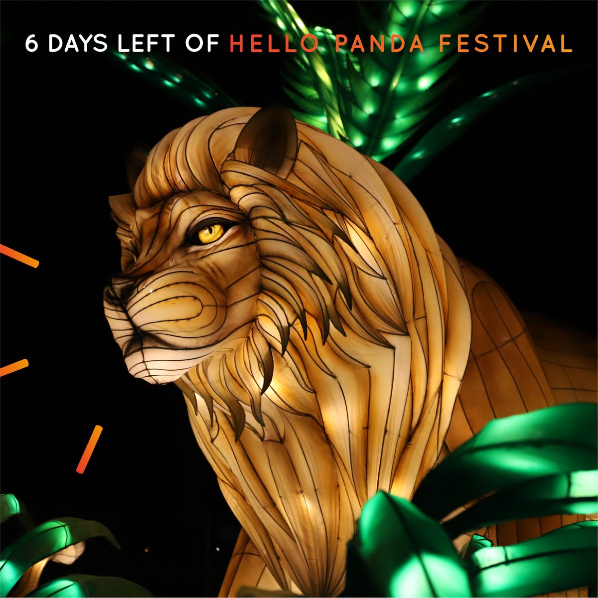 Hello Panda Festival tweet media