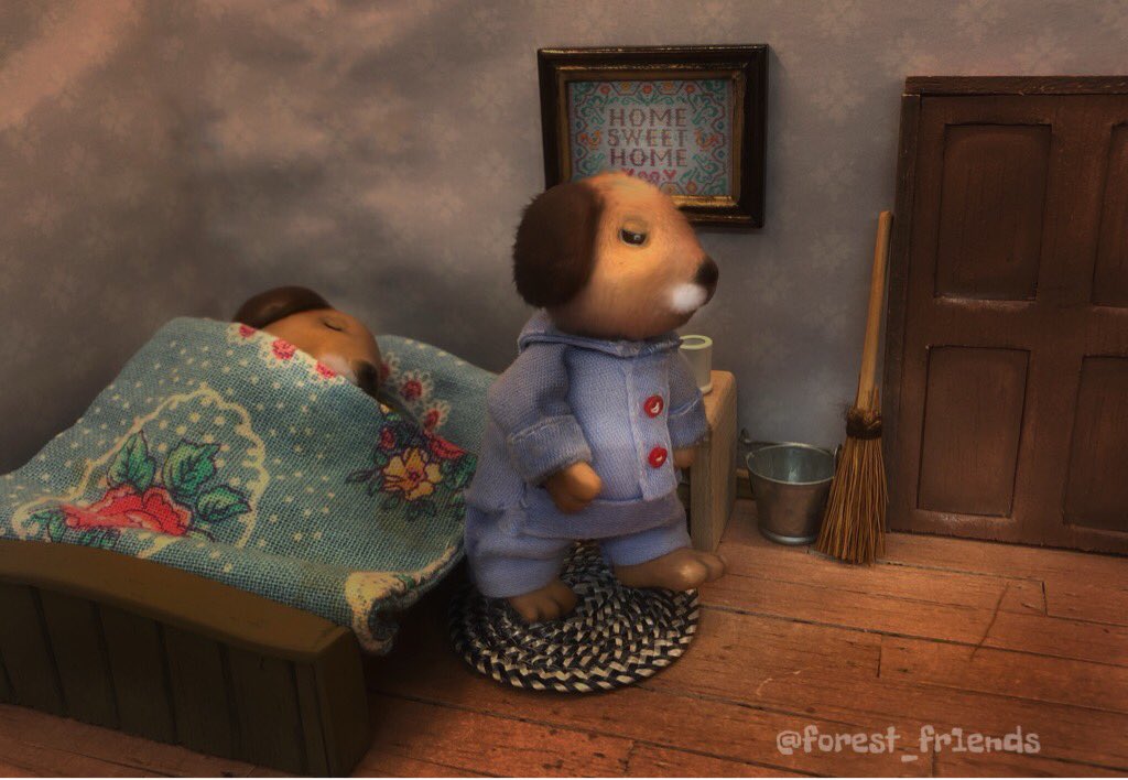 forest_fr1ends's tweet image. 